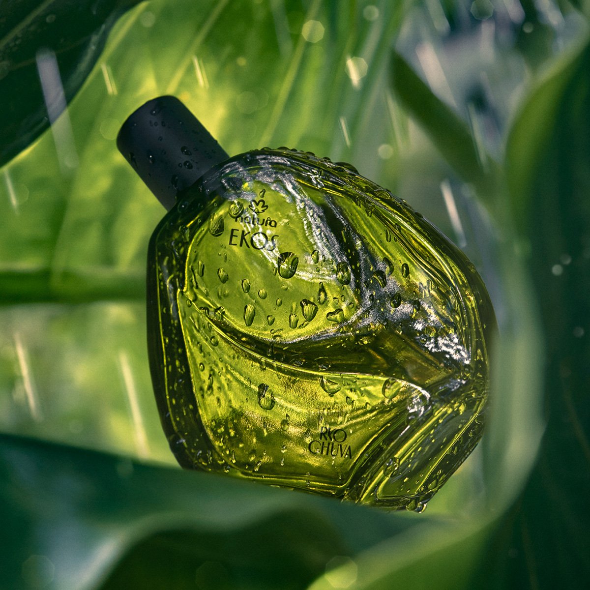 Perfume Natura Ekos Ryo Lluvia 75 ml - Imagen 2